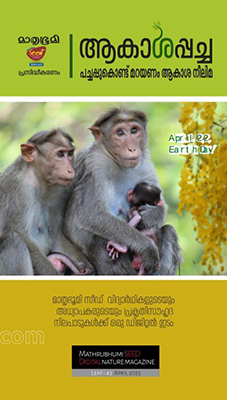 Akashapacha April 2025 cover